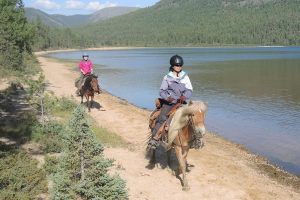 Takhi (Przewalski's Horse) The official National Animal of Mongolia