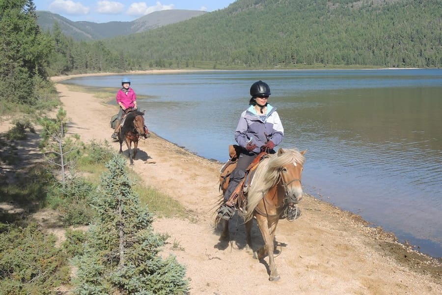 Takhi (Przewalski's Horse) The official National Animal of Mongolia