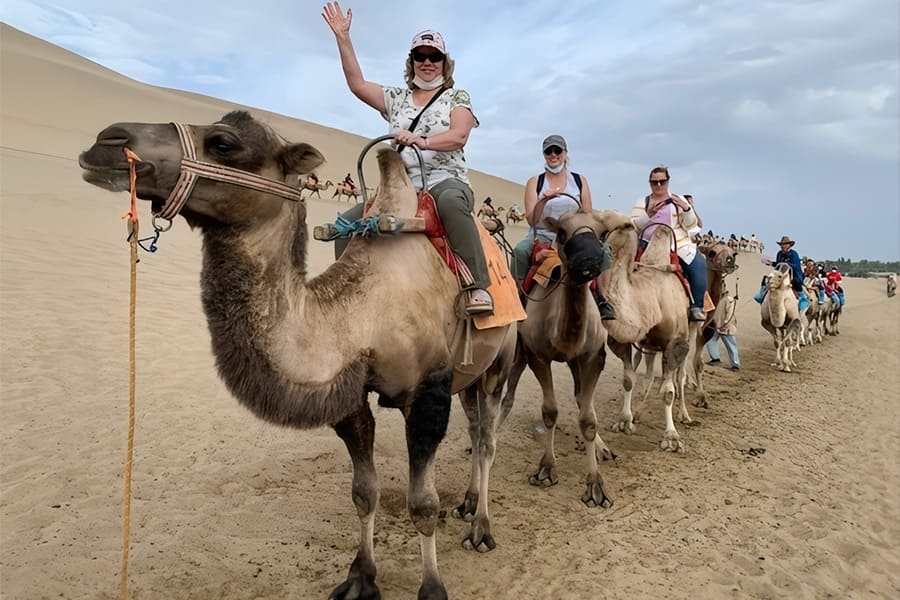 camel riding at gobi desert - khuvsgul travel