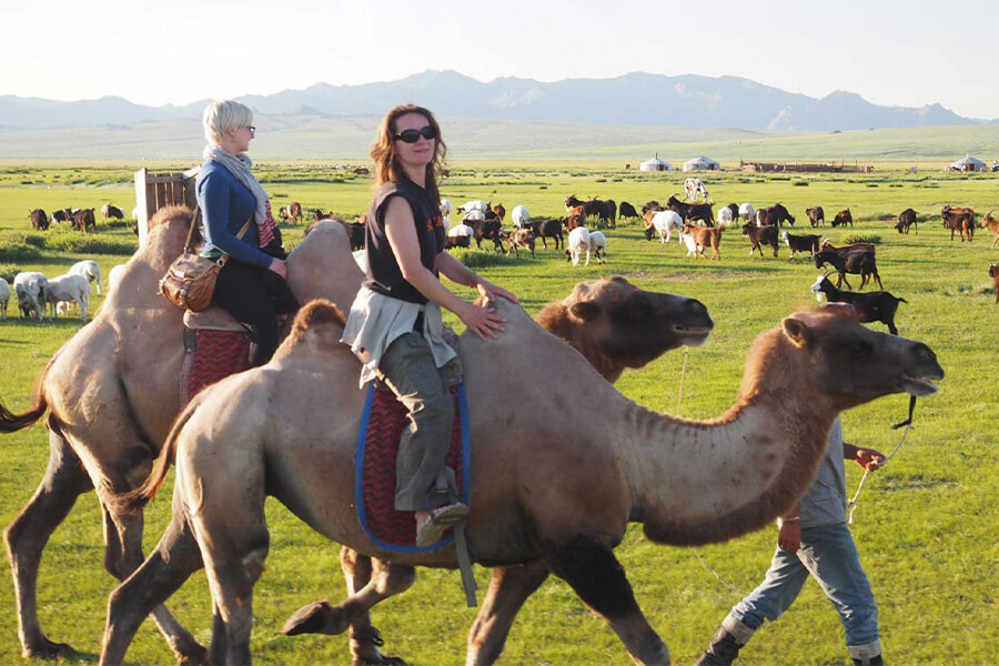 Comfortable Travel and Thoughtful Itineraries - mongolia classic tours