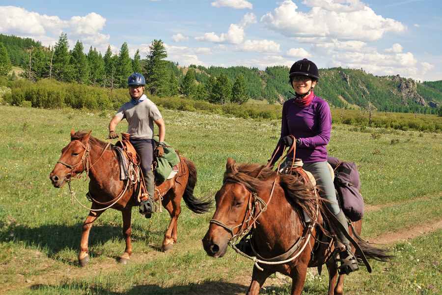 Hustai National Park - mongolia naadam festival tours