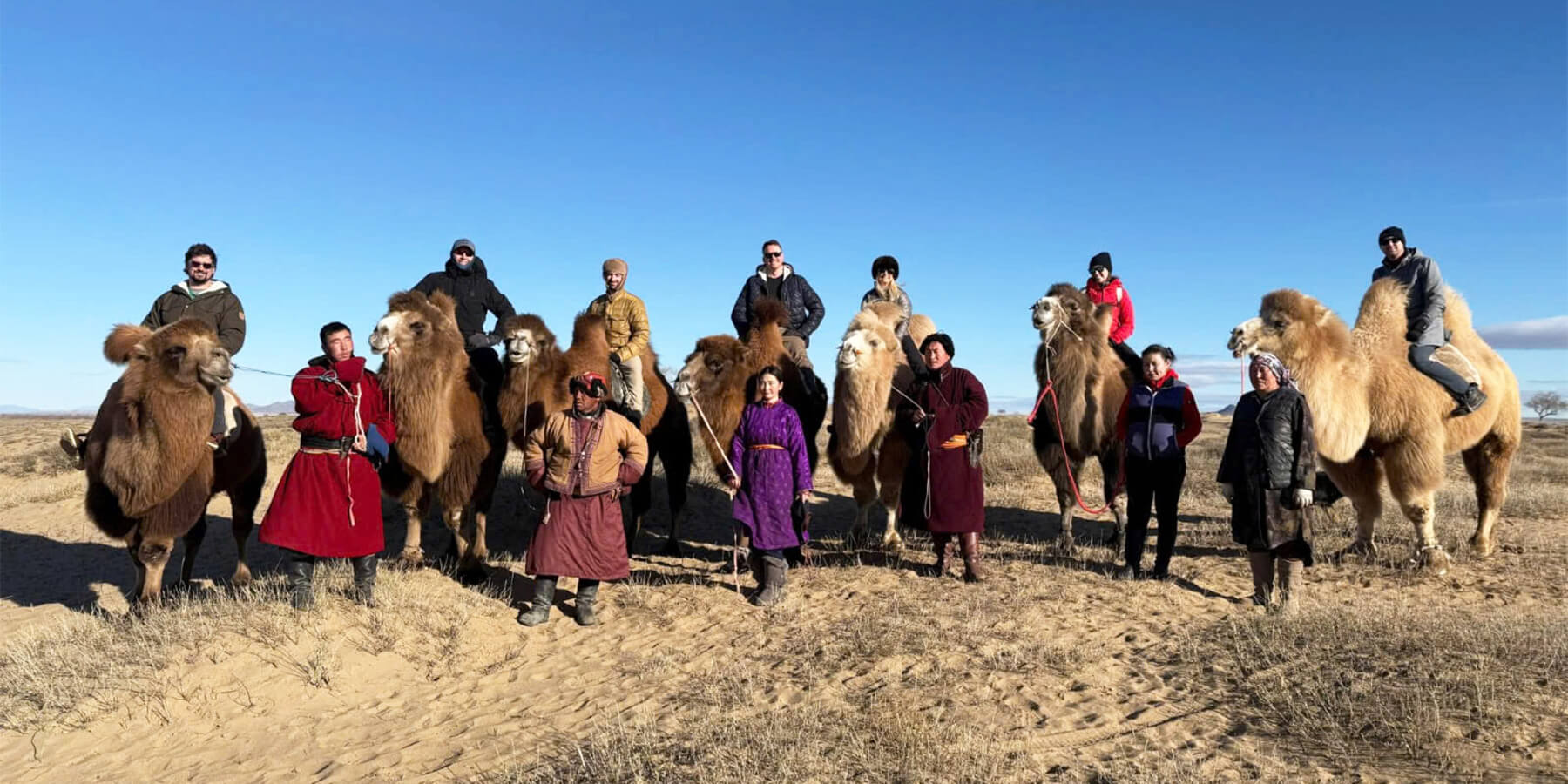 camel riding in mongolia tours