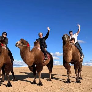 Camel riding - mongolia tour packages