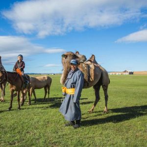 Khustai national park - mongolia set depature tour